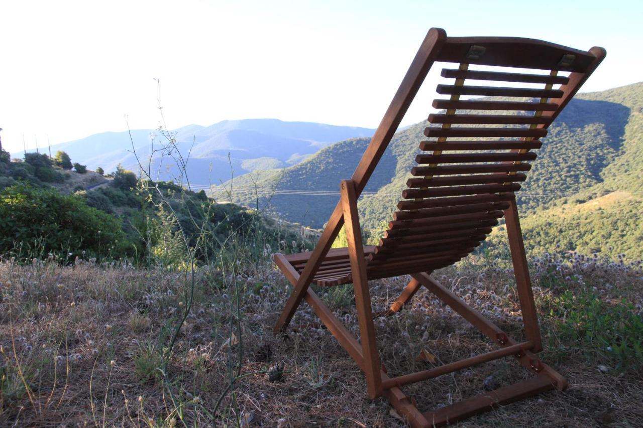 Gites-Terroirs-Occitanie Felluns Exterior foto